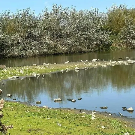 Les Mouettes