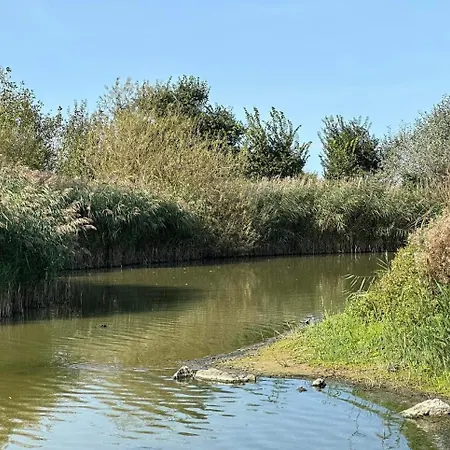 Les Mouettes 2*