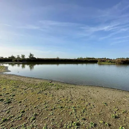 Hotel Les Mouettes Wenduine