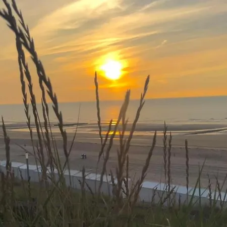 Hotel Les Mouettes 2*