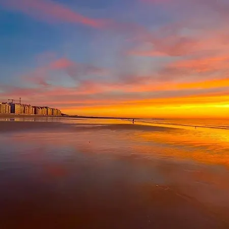 Les Mouettes Hotel Wenduine