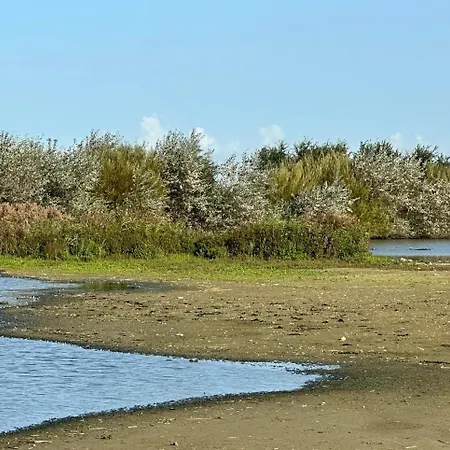 Les Mouettes Wenduine