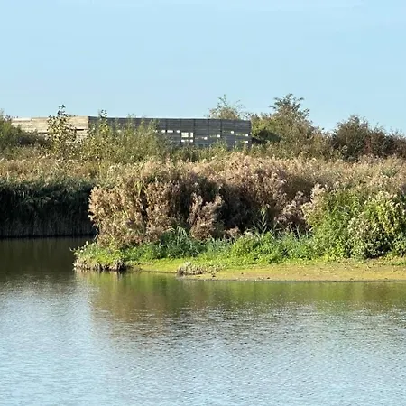 Hotel Les Mouettes 2*