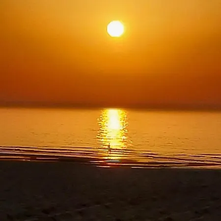 Hotel Les Mouettes Wenduine