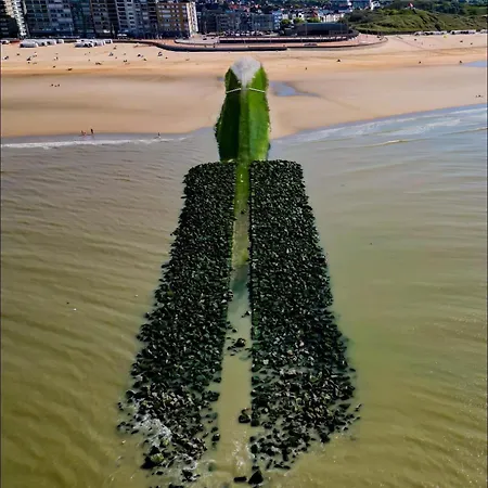 Les Mouettes Wenduine