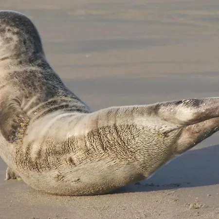 Les Mouettes Hotel 2*