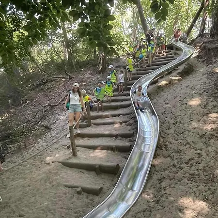 Les Mouettes 2* Wenduine