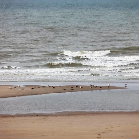 海鸥酒店 酒店 温都尼