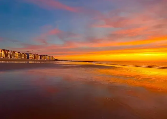 Les Mouettes 호텔 웬두이니