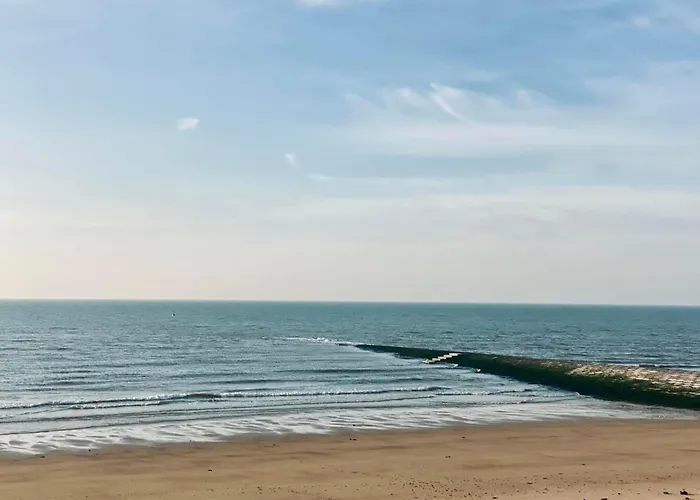 Les Mouettes Wenduine