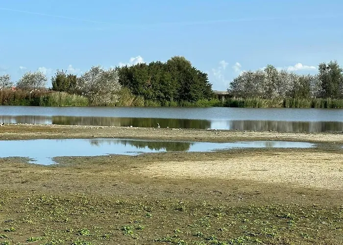 Les Mouettes Hotel Wenduine