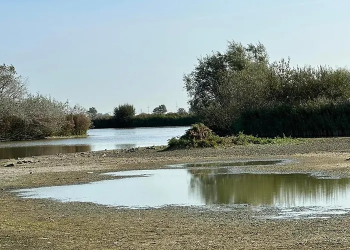 Les Mouettes 호텔 2*