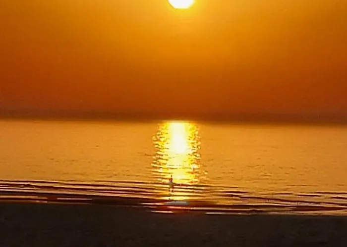 Hotel Les Mouettes Wenduine