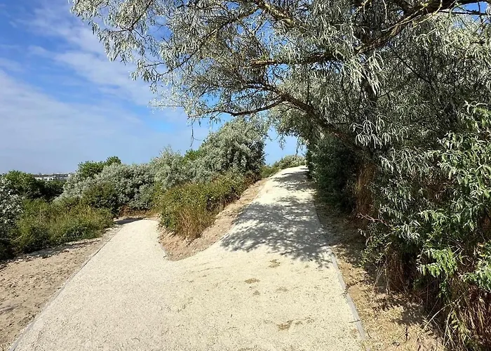 Les Mouettes 2* 웬두이니