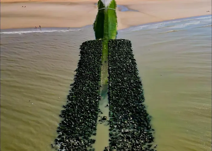 Les Mouettes 웬두이니