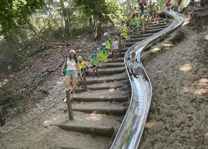 Les Mouettes 2* 웬두이니