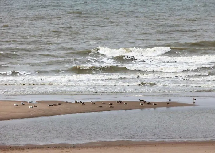 Les Mouettes Hotel Wenduine